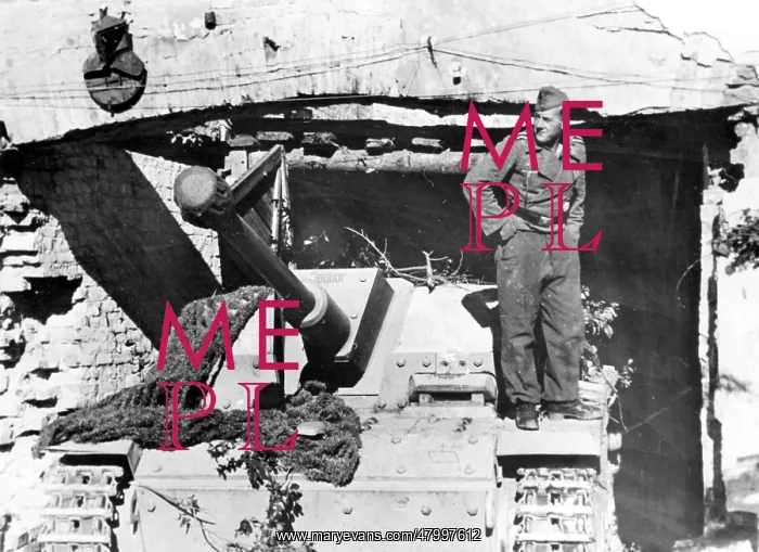 : German StuG III on the Eastern Front, 1943 : German StuG III on the Eastern Front, 1943