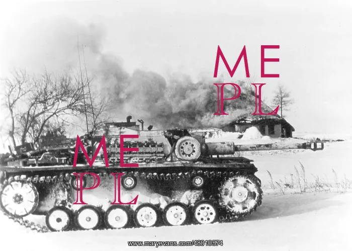 : German StuG III in Russia : German StuG III in Russia
