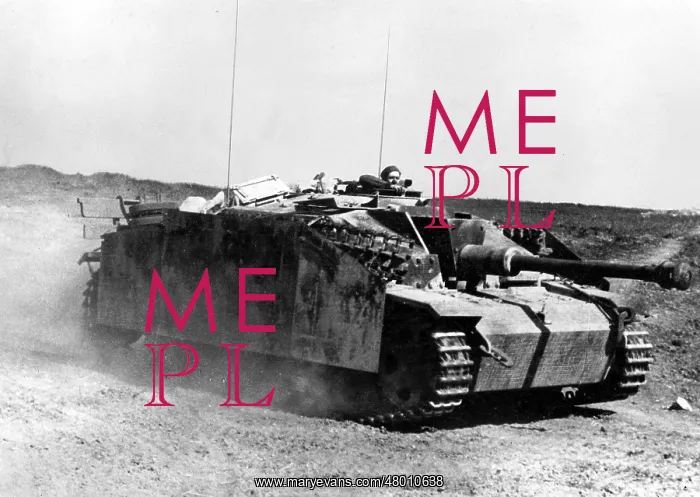 : German StuG III in Russia : German StuG III in Russia