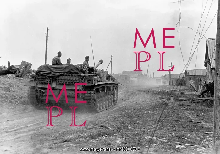 : German StuG III in Stalingrad, 1942 : German StuG III in Stalingrad, 1942