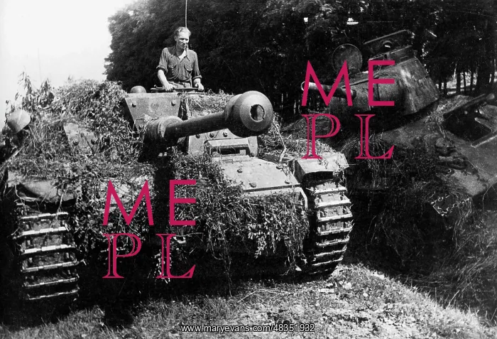 : German Sturmgeschuetz III, 1944 : German Sturmgeschuetz III, 1944