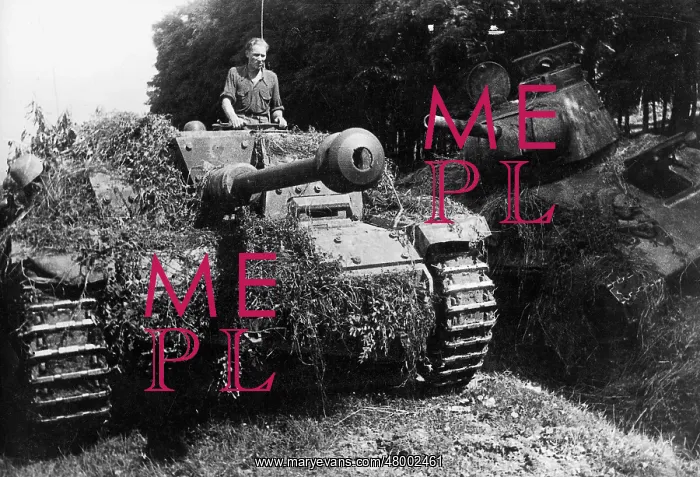 : German Sturmgeschuetz III assault gun : German Sturmgeschuetz III assault gun