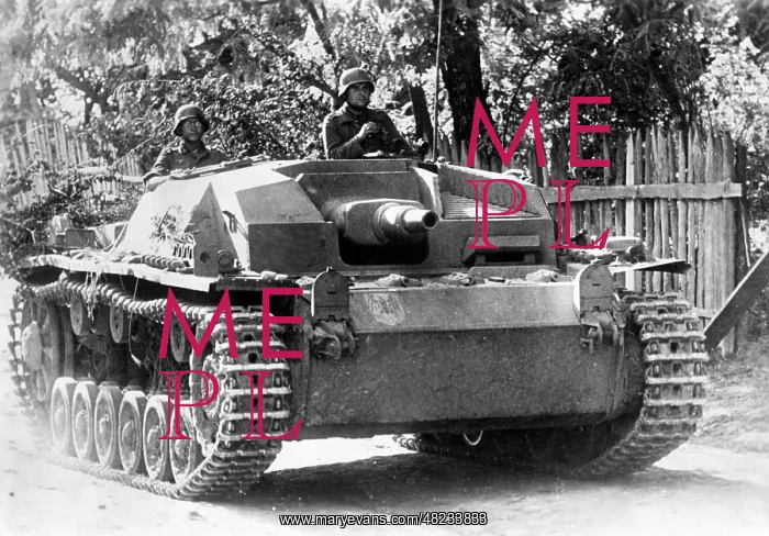 : German Sturmgeschuetz III on the Eastern Front, 1941 : German Sturmgeschuetz III on the Eastern Front, 1941
