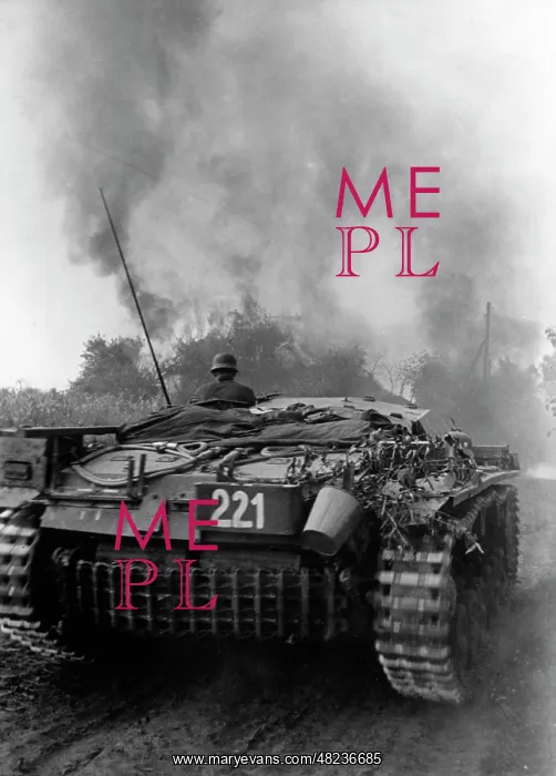  : German Sturmgeschuetz III on the Eastern Front, 1941