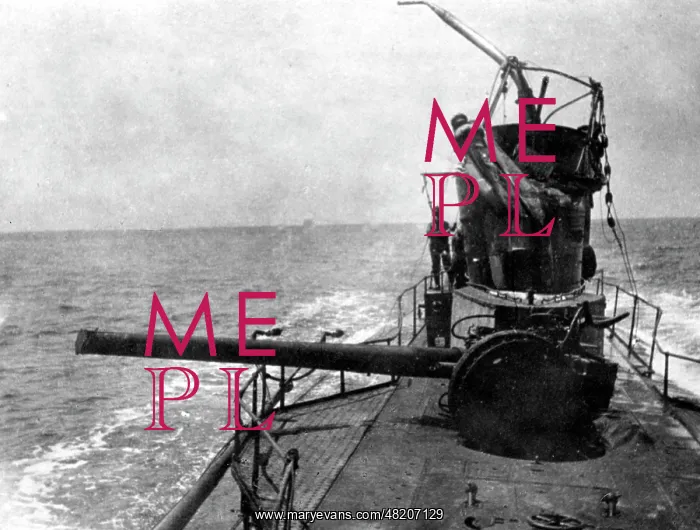 : German submarines in World War I : German submarines in World War I