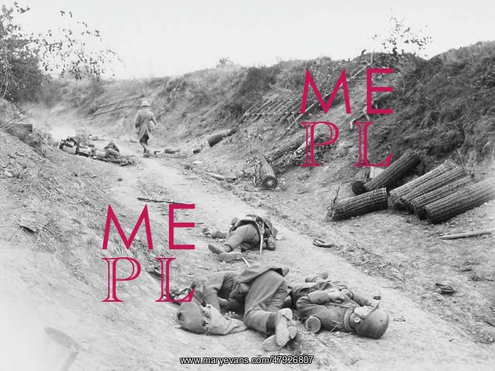 : German sunken road WWI : German sunken road WWI