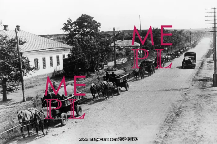 : German supply convoy in Ukraine, 1941 : German supply convoy in Ukraine, 1941