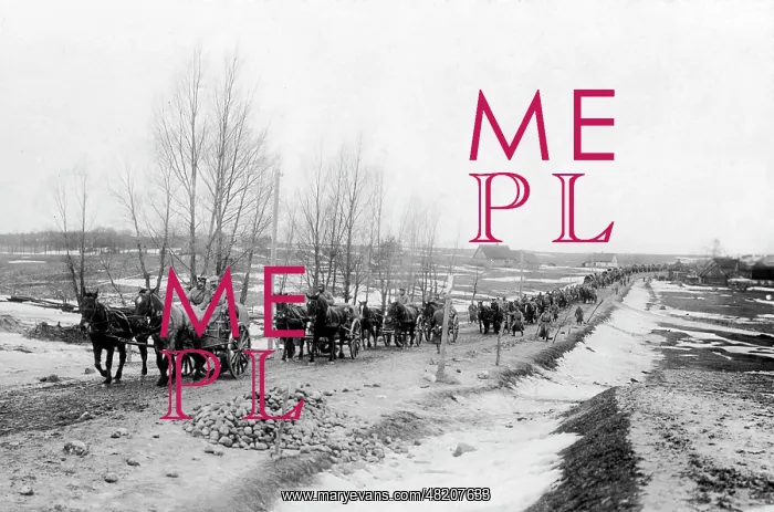 : German supply train at the Eastern Front, 1915 : German supply train at the Eastern Front, 1915