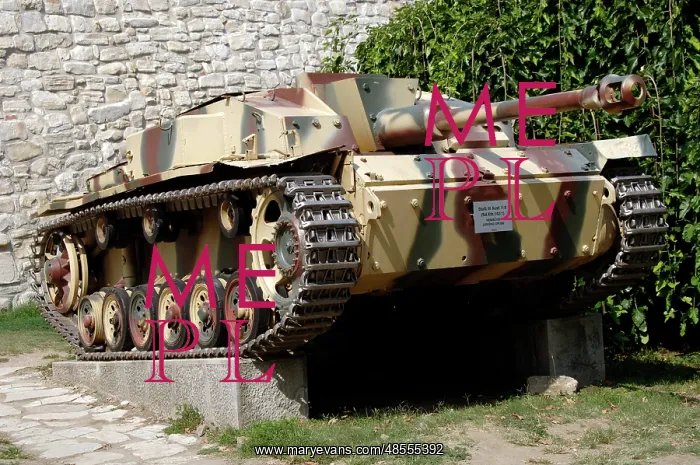 : German tank : German tank
