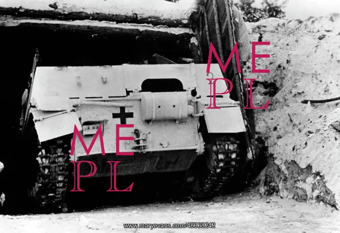 : German tank in a bunker, 1943 : German tank in a bunker, 1943