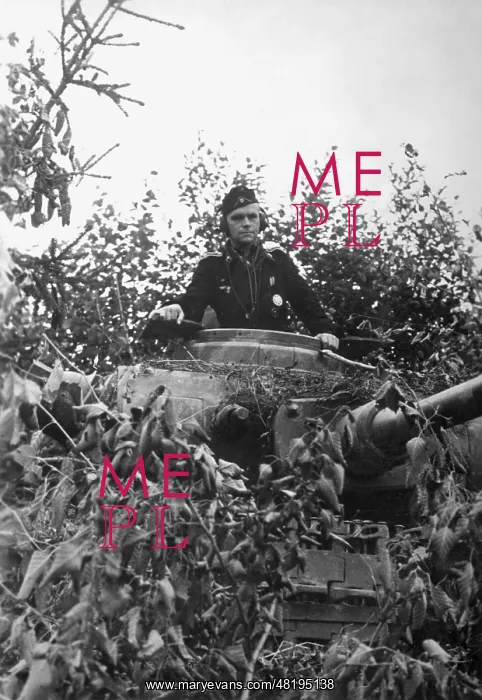 : German tank in a camouflaged position on the Eastern front : German tank in a camouflaged position on the Eastern front