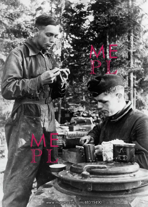 : German tank crew - Eastern Front, 1941 : German tank crew - Eastern Front, 1941