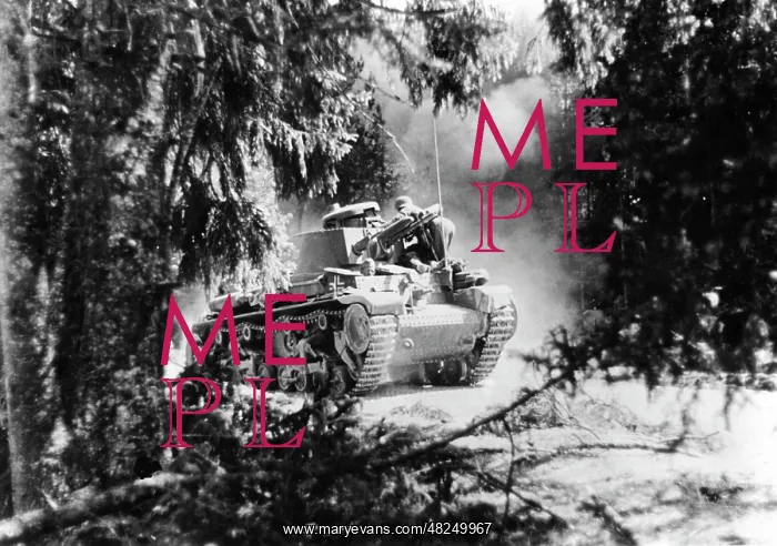 : German tank crosses a forest on the Eastern Front, 1941 : German tank crosses a forest on the Eastern Front, 1941