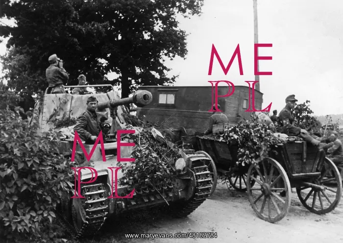 : German tank destroyer Marder III on the Eastern front, 1944 : German tank destroyer Marder III on the Eastern front, 1944