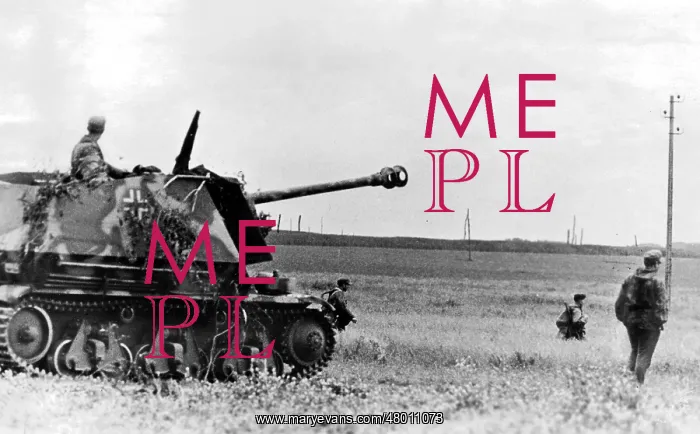 : German tank destroyer near Caen : German tank destroyer near Caen