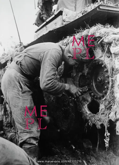 : German tank - Eastern Front, 1942 : German tank - Eastern Front, 1942