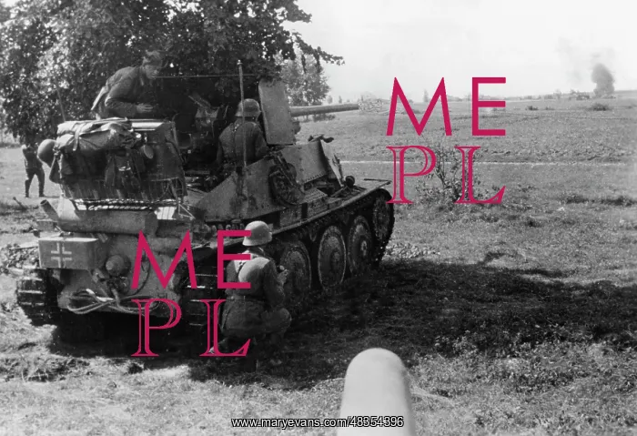 : German tank on the Eastern Front, 1942 : German tank on the Eastern Front, 1942