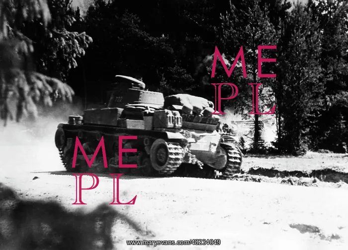 : German tank goes through the woods on the Eastern Front : German tank goes through the woods on the Eastern Front