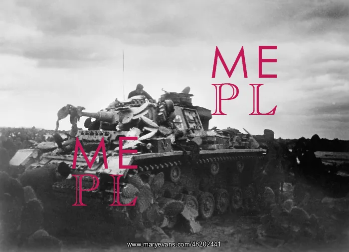 : German tank III in Tunisia, 1943 : German tank III in Tunisia, 1943
