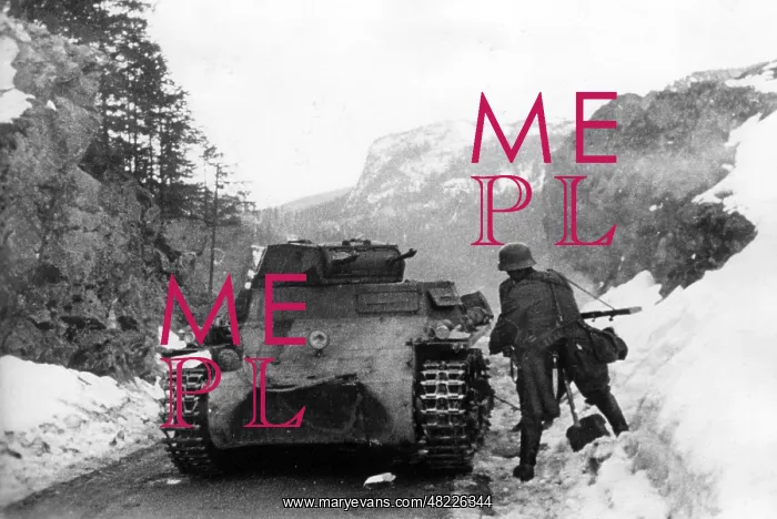 : German tank in Norway, 1940 : German tank in Norway, 1940