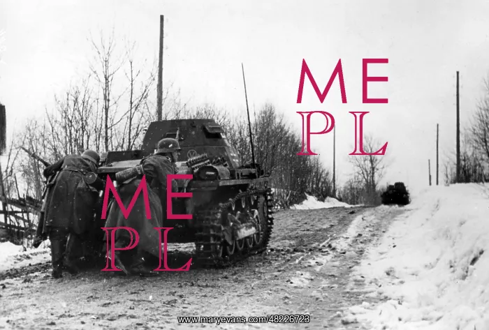 : German tank in Norway, 1940 : German tank in Norway, 1940