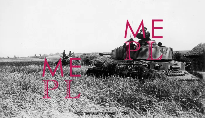 : German tank during Operation Citadel, 1943 : German tank during Operation Citadel, 1943