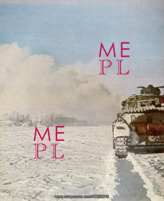 : GERMAN TANK IN SNOW : GERMAN TANK IN SNOW