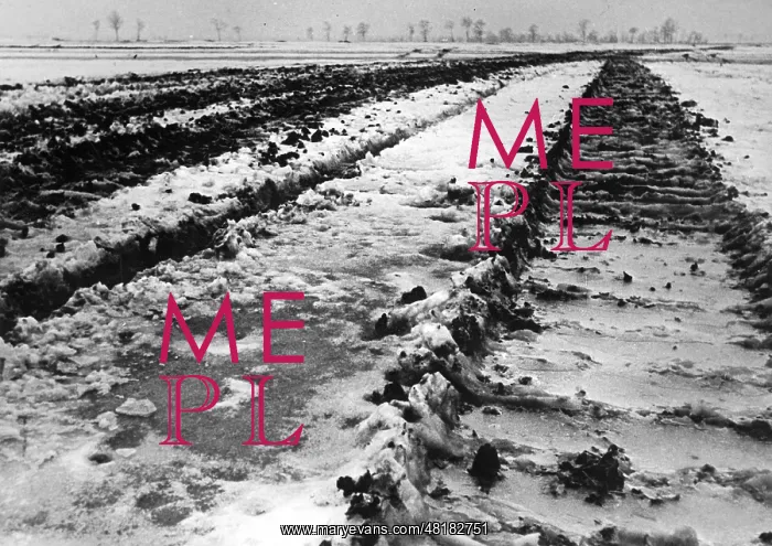 : German tank tracks, 1945 : German tank tracks, 1945