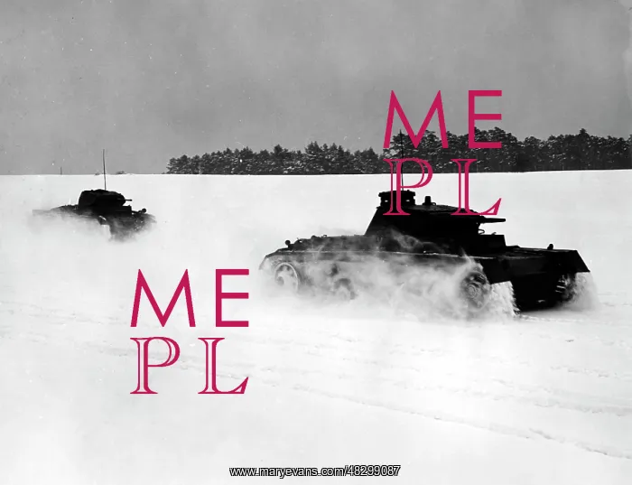 : German tanks, 1941 : German tanks, 1941