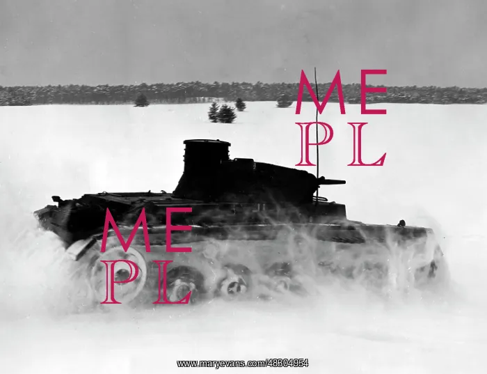 : German tanks, 1941 : German tanks, 1941