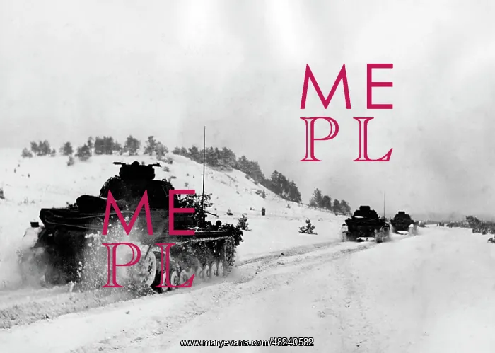 : German tanks during the advance to Klin, 1941 : German tanks during the advance to Klin, 1941