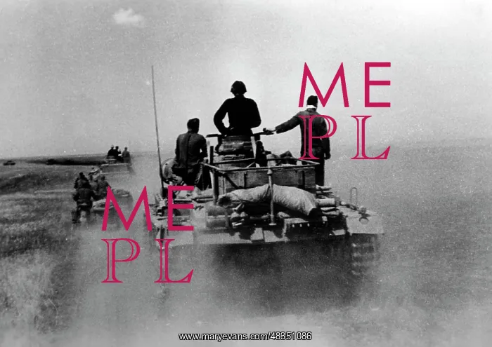 : German tanks advance towards Stalingrad, 1942 : German tanks advance towards Stalingrad, 1942
