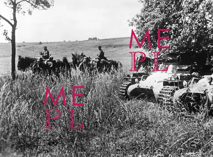 : German tanks on the Aisne, 1940 : German tanks on the Aisne, 1940