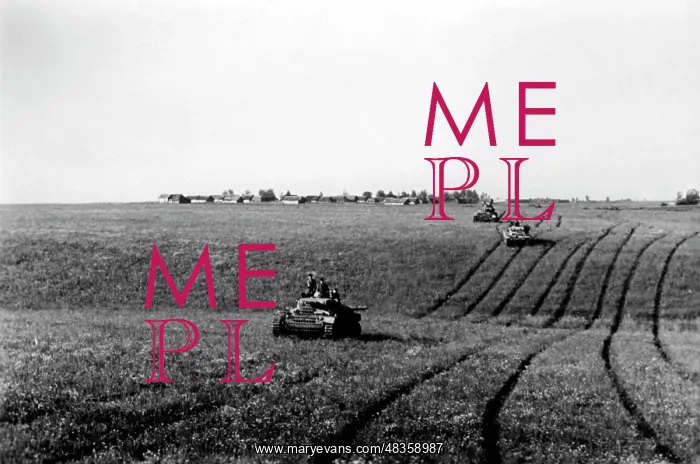 : German tanks in the area of Rzhev in the middle : German tanks in the area of Rzhev in the middle