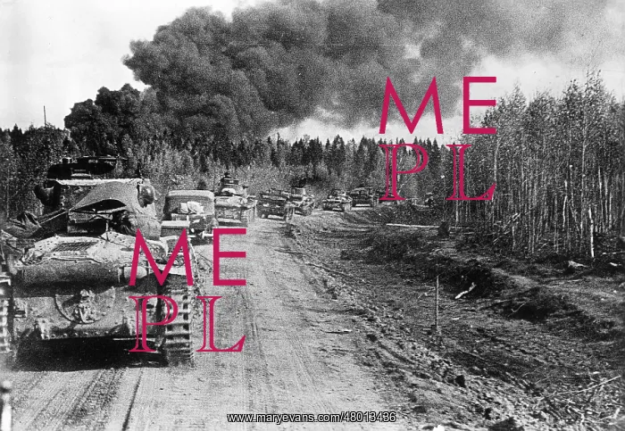 : German tanks during the battle of Vyazma, 1941 : German tanks during the battle of Vyazma, 1941