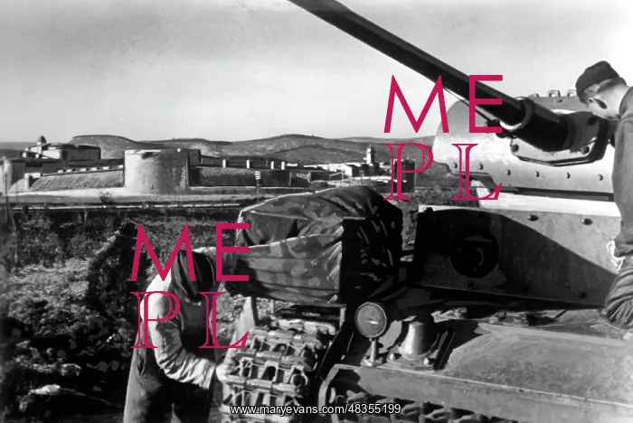 : German tanks in front of the Chateau de Salses : German tanks in front of the Chateau de Salses
