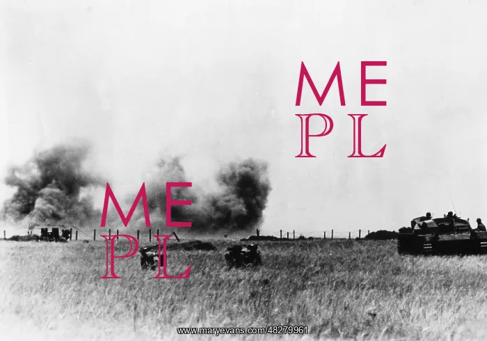 : German tanks in the Crimea, 1941 : German tanks in the Crimea, 1941