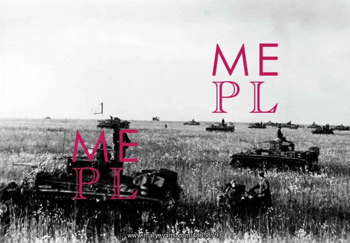: German tanks in the Donets area, 1942 : German tanks in the Donets area, 1942