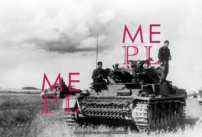 : German tanks on the Eastern Front, 1941 : German tanks on the Eastern Front, 1941