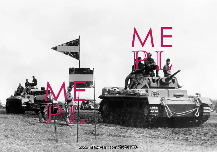 : German tanks on the Eastern Front, 1941 : German tanks on the Eastern Front, 1941