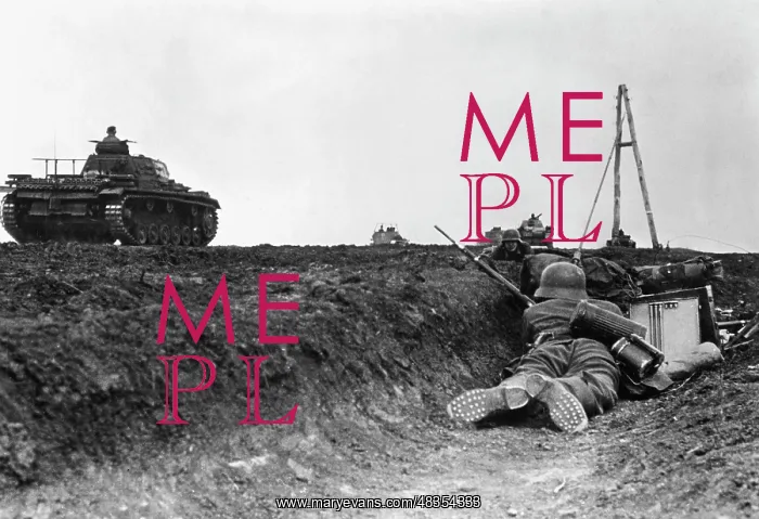  : German tanks on the Eastern front, 1941