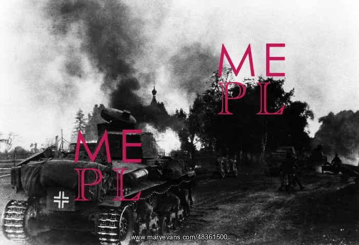 : German tanks on the Eastern front, 1941 : German tanks on the Eastern front, 1941