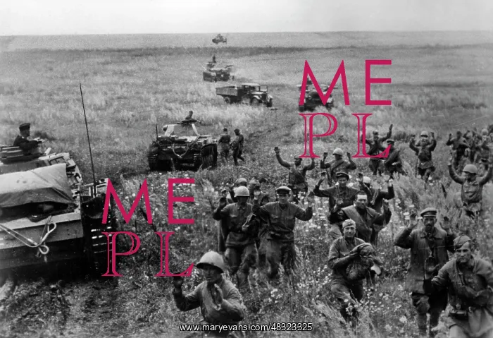 : German tanks - Eastern Front, 1942 : German tanks - Eastern Front, 1942