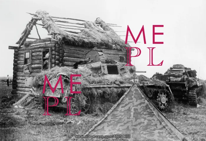 : German tanks on the Eastern Front, 1942 : German tanks on the Eastern Front, 1942