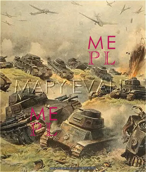 : GERMAN TANKS IN FRANCE : GERMAN TANKS IN FRANCE