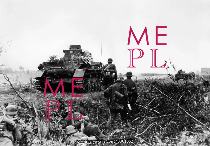 : German tanks and infantry on the Eastern front, 1941 : German tanks and infantry on the Eastern front, 1941