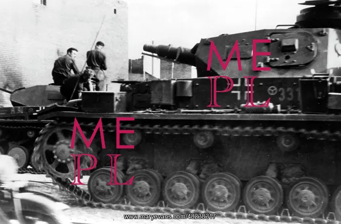 : German tanks on the march to Minsk, 1941 : German tanks on the march to Minsk, 1941