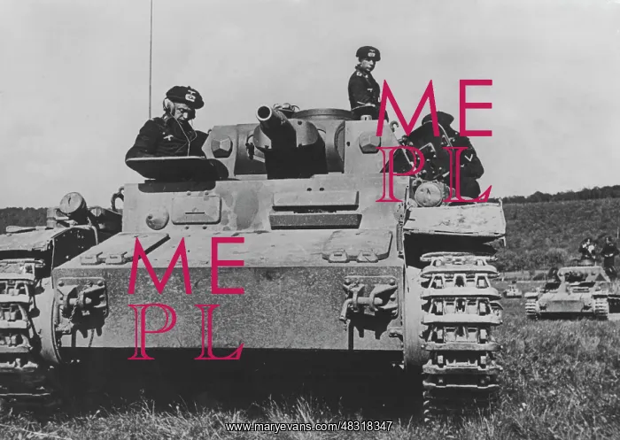 : German tanks on the Meuse, 1940 : German tanks on the Meuse, 1940