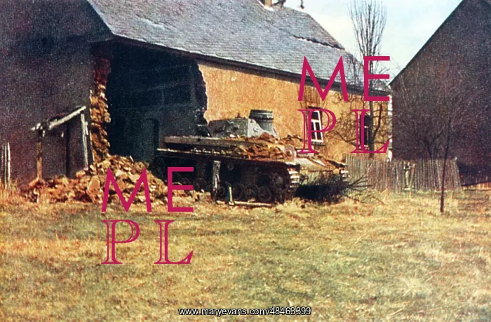 : GERMAN TANKS IN POLAND : GERMAN TANKS IN POLAND
