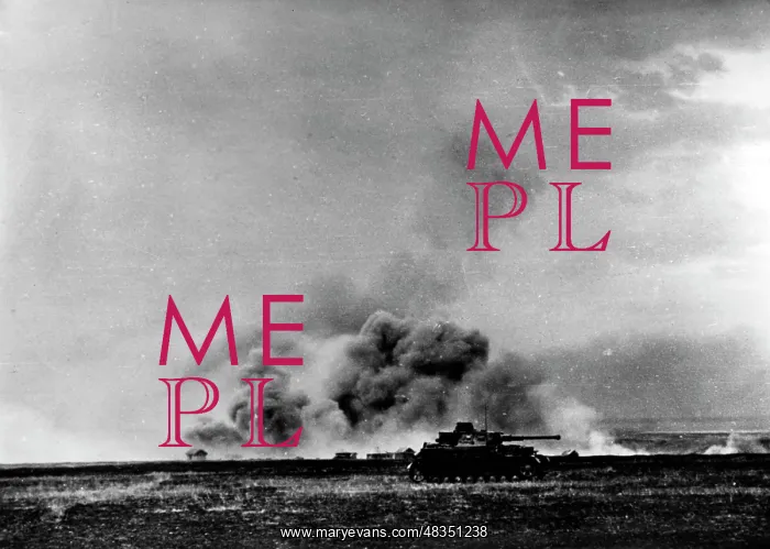 : German tanks push forward to Stalingrad, 1942 : German tanks push forward to Stalingrad, 1942